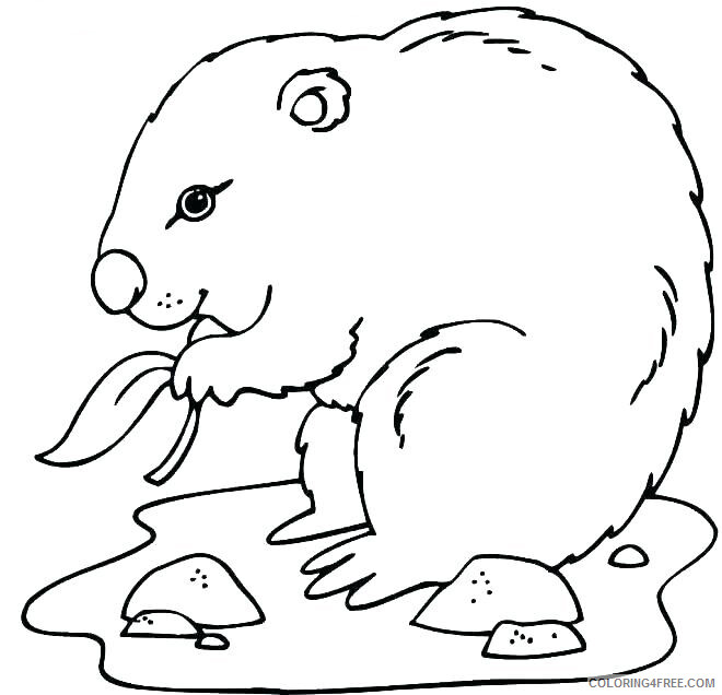 Groundhog Day Coloring Pages Holiday Groundhog Day Sheet Printable 2021 0579 Coloring4free
