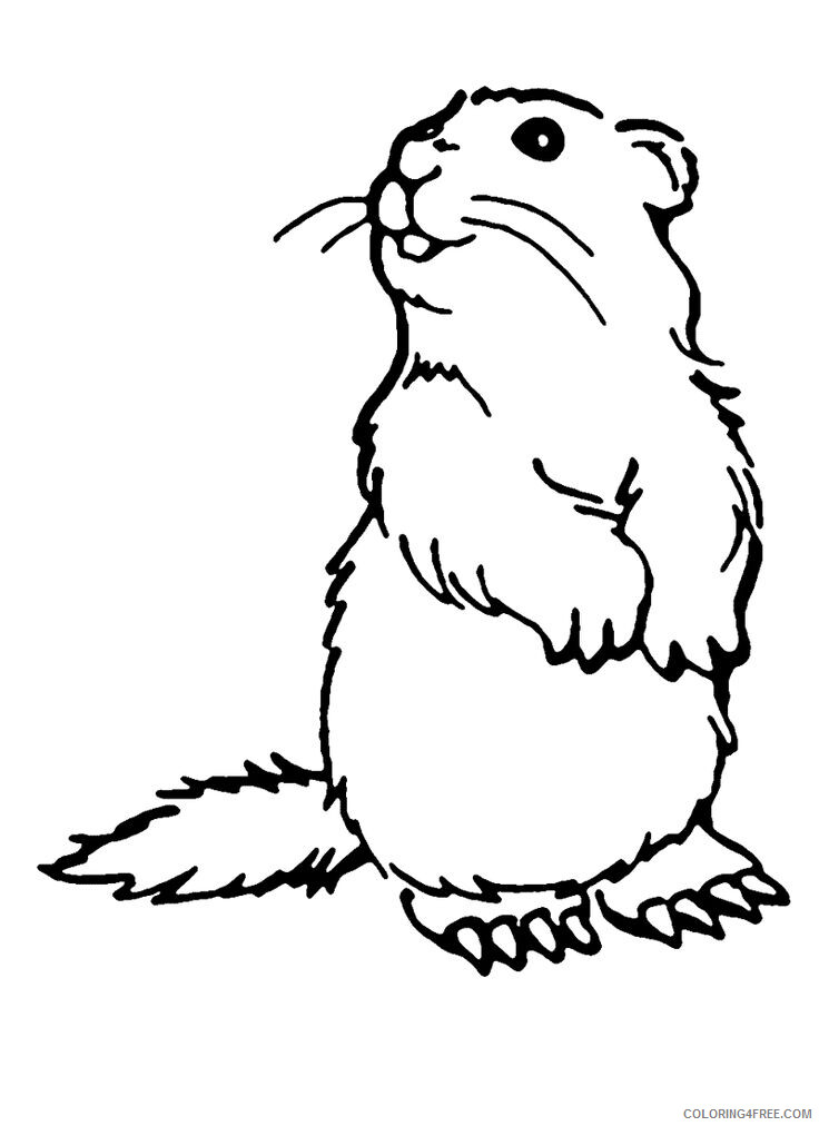Groundhog Day Coloring Pages Holiday Groundhogs Day Printable 2021 0585 Coloring4free