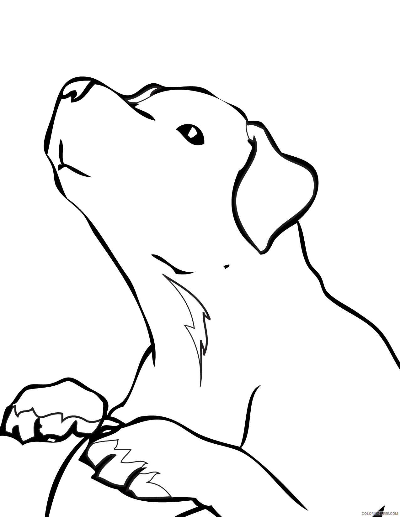 Simple Coloring Pages for Kids Simple Golden Retriever Printable 2021 592 Coloring4free