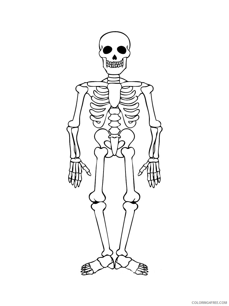 Skeleton Coloring Pages for Kids Skeleton 15 Printable 2021 611 Coloring4free