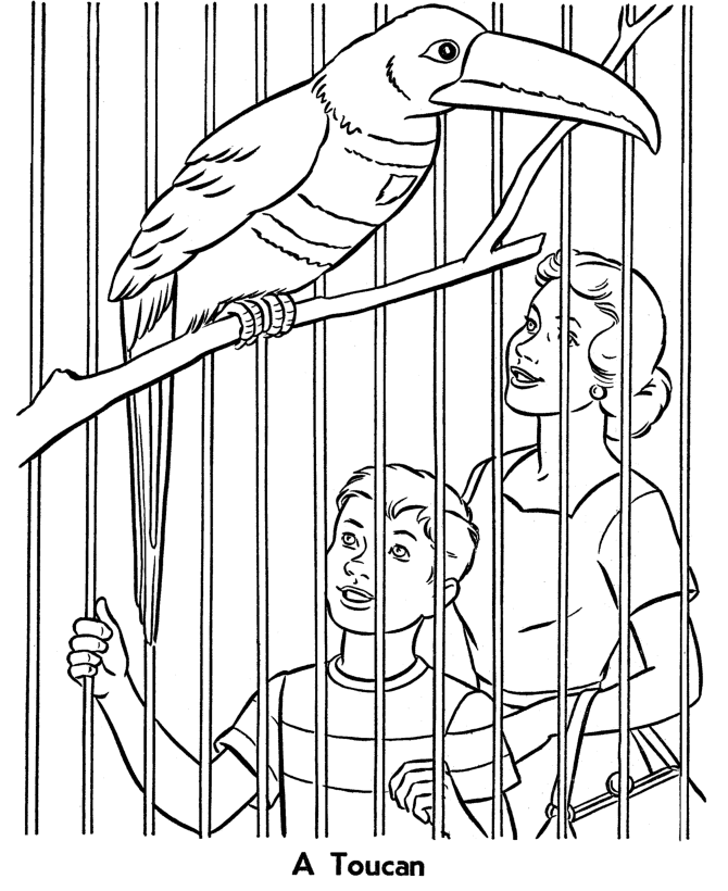 Zoo Coloring Pages for Kids Zoo Animals For Kids Printable 2021 791 Coloring4free
