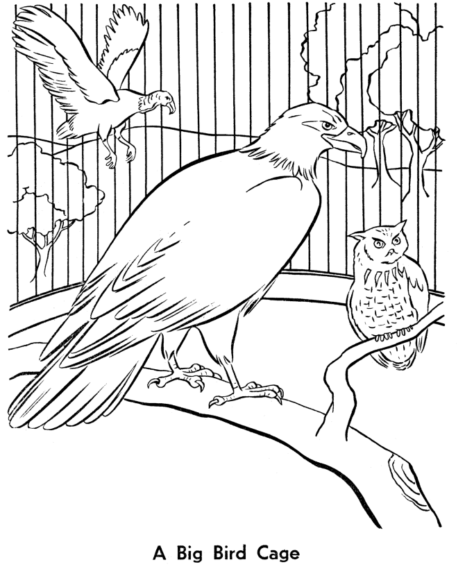 Zoo Coloring Pages for Kids Zoo Printable 2021 786 Coloring4free