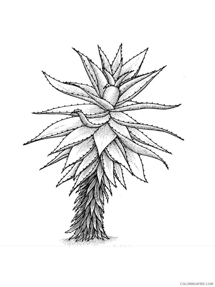 Aloe Coloring Pages Flowers Nature Aloe 7 Printable 2021 005 Coloring4free