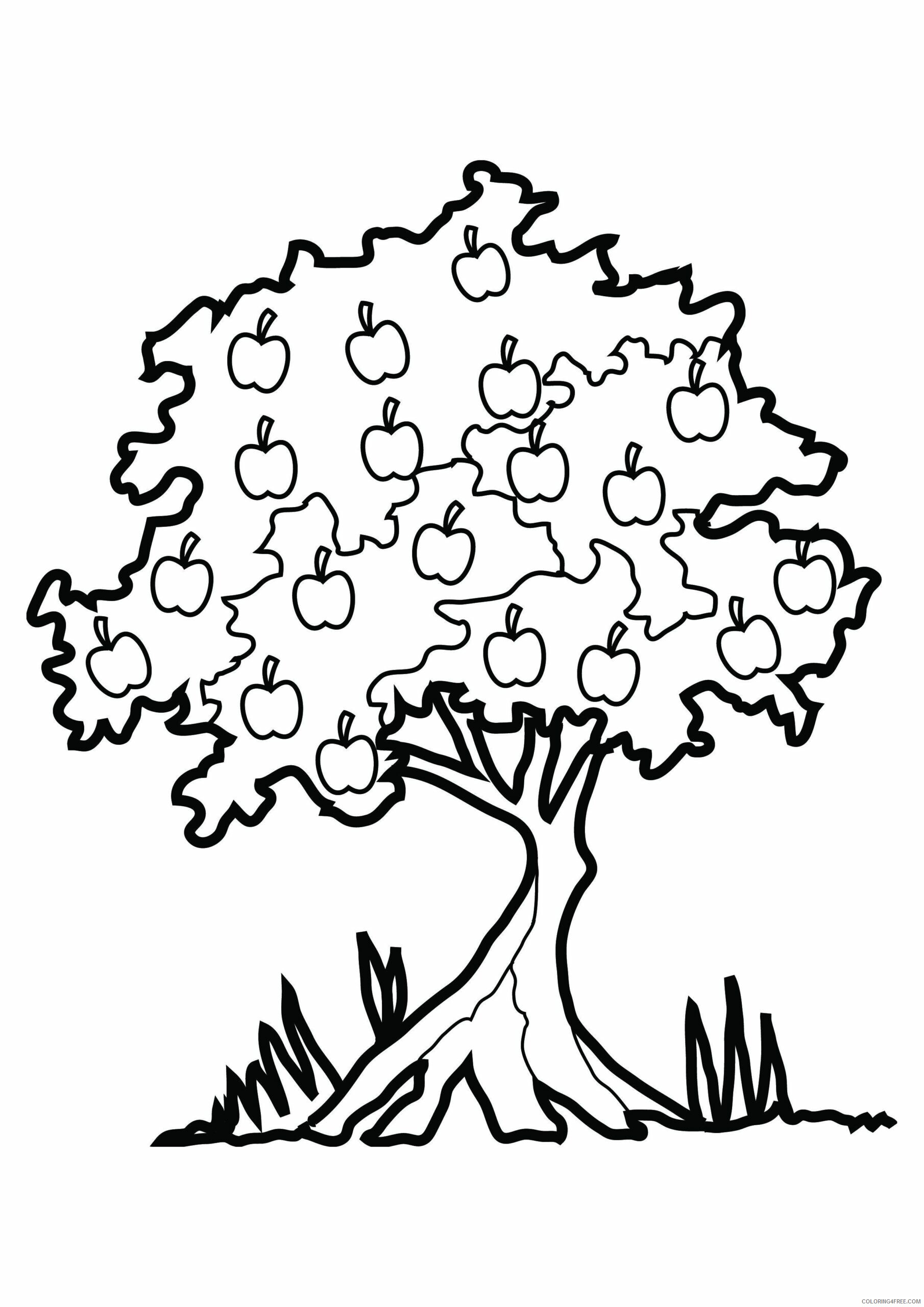 Apple Coloring Pages Fruits Food Apple Tree Printable 2021 041 Coloring4free