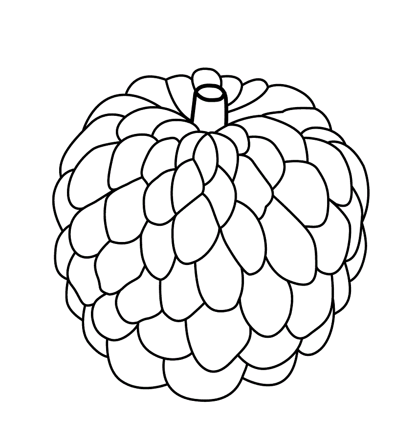 Apple Coloring Pages Fruits Food a custard apple Printable 2021 011 Coloring4free