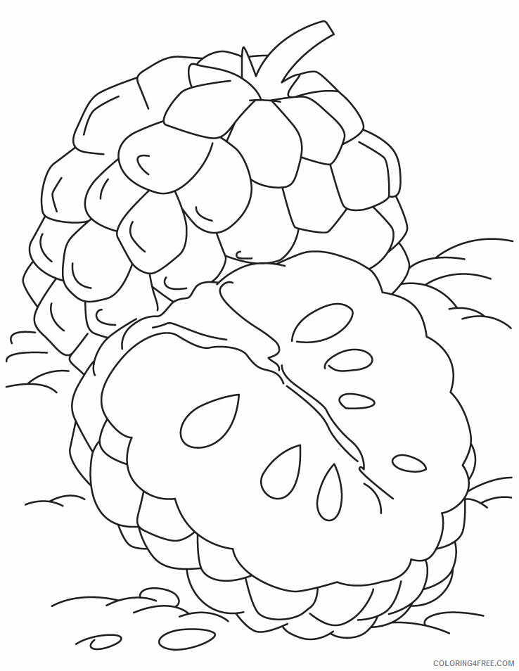 Apple Coloring Pages Fruits Food custard apple 1 Printable 2021 010 Coloring4free