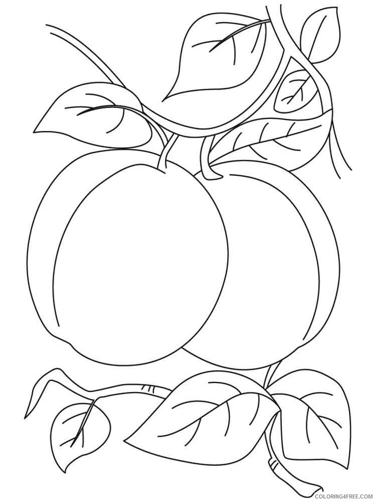 Apricot Coloring Pages Fruits Food Apricot fruits 10 Printable 2021 054 Coloring4free
