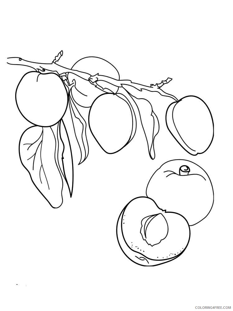 Apricot Coloring Pages Fruits Food Apricot fruits 3 Printable 2021 056 Coloring4free