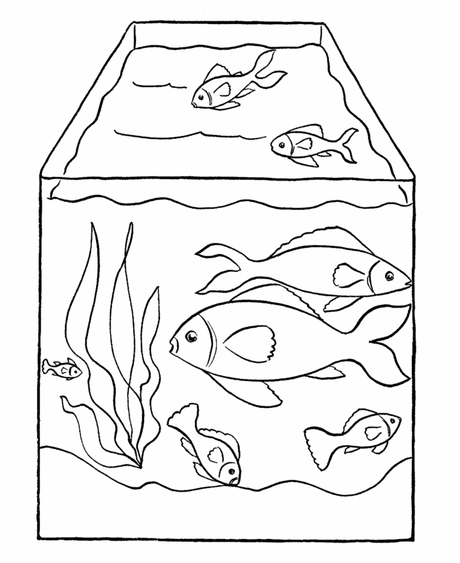 Aquarium Coloring Pages Aquarium Tank Printable 2021 0234 Coloring4free