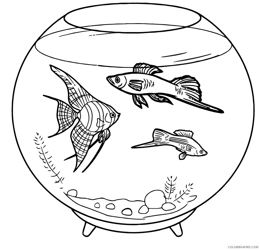 Aquarium Coloring Pages Pet Fish Printable 2021 0240 Coloring4free