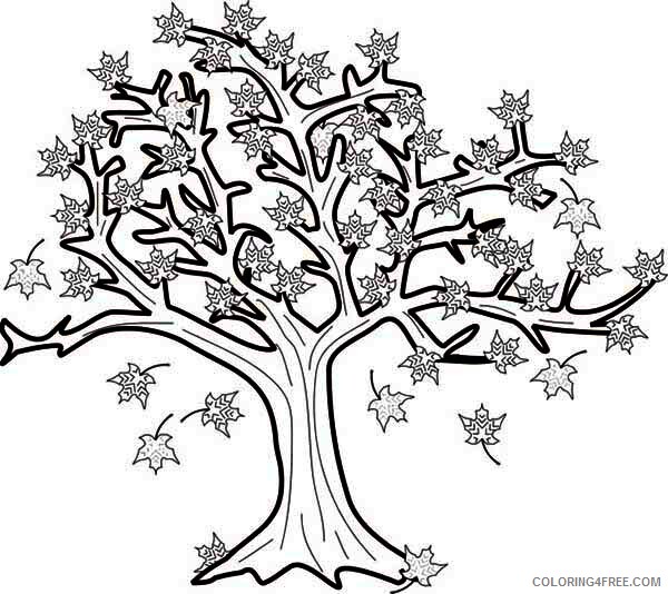 Autumn Coloring Pages Nature Maple Tree in Autumn Season Printable 2021 050 Coloring4free