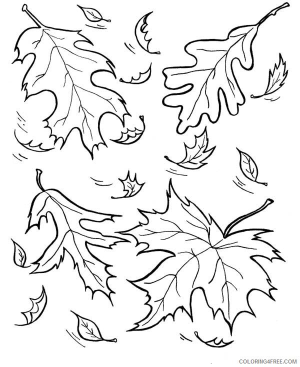 Autumn Coloring Pages Nature Picture of Leaves in Autumn Printable 2021 052 Coloring4free