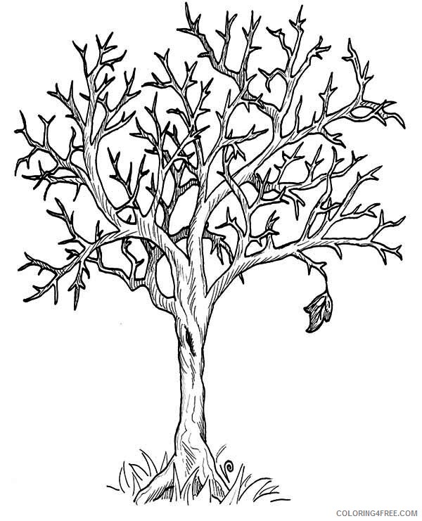 Autumn Coloring Pages Nature Tree Without Leaves in Autumn Season Print 2021 Coloring4free