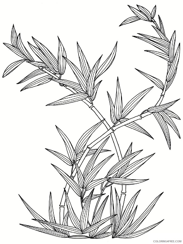 Bamboo Coloring Pages Tree Nature bamboo tree 6 Printable 2021 527 Coloring4free