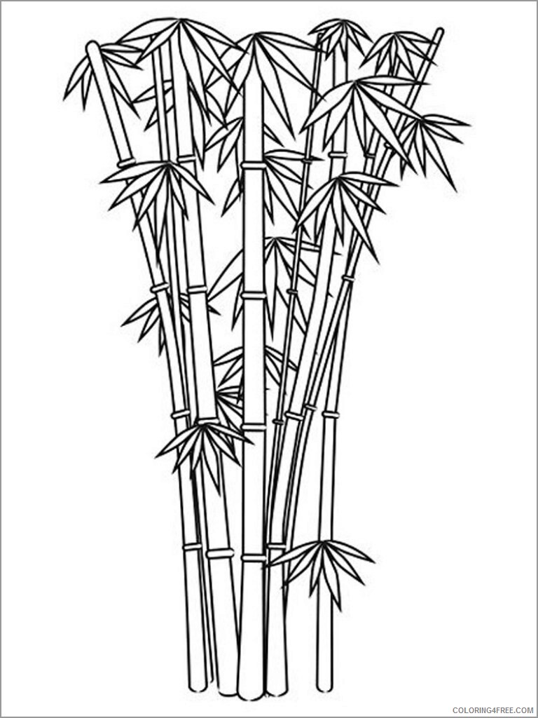 Bamboo Coloring Pages Tree Nature bamboo tree Printable 2021 529 Coloring4free