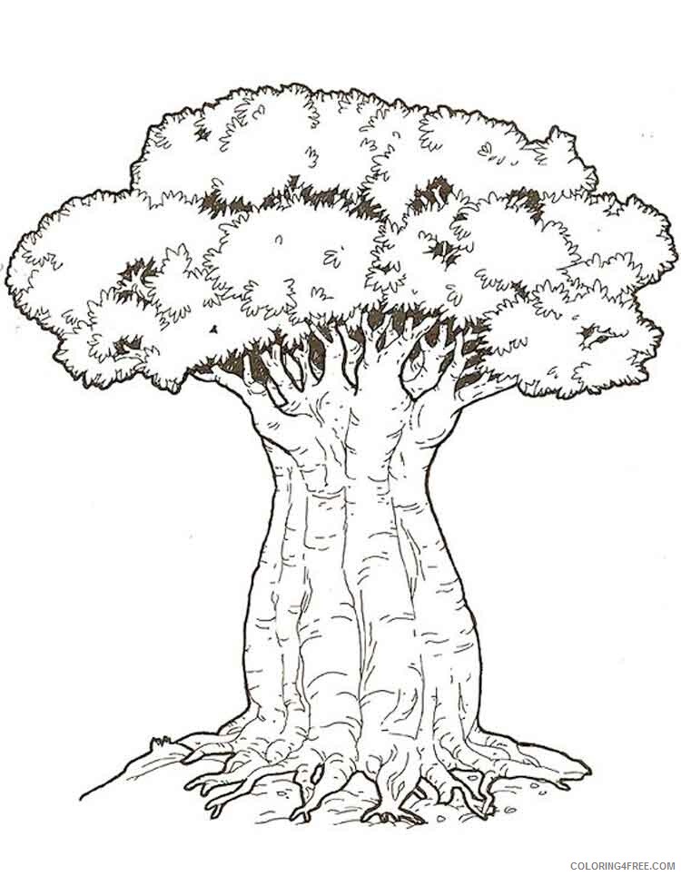 Baobab Tree Coloring Pages Tree Nature baobab tree 1 Printable 2021 530 Coloring4free