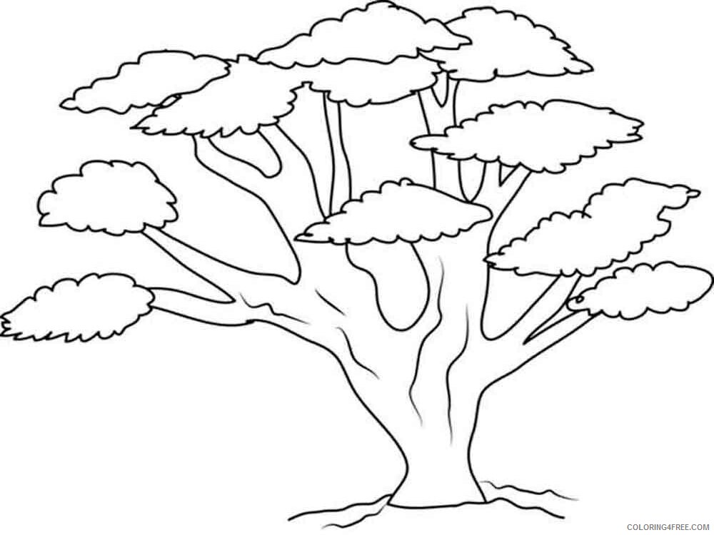 Baobab Tree Coloring Pages Tree Nature baobab tree 2 Printable 2021 531 Coloring4free