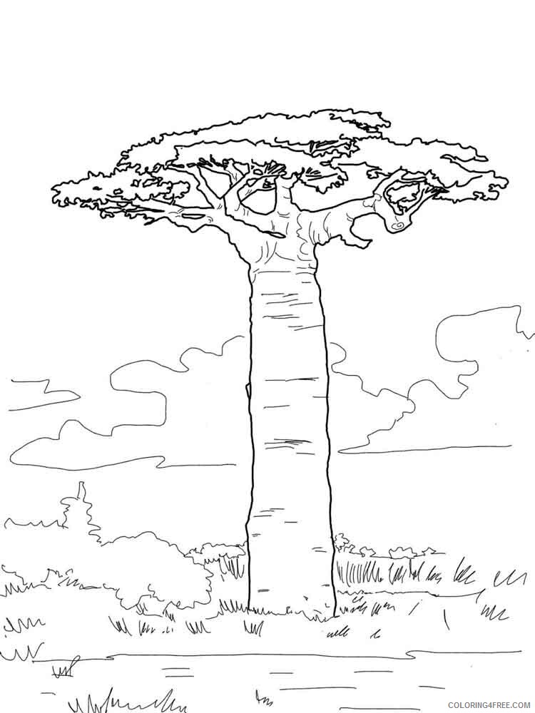 Baobab Tree Coloring Pages Tree Nature baobab tree 3 Printable 2021 532 Coloring4free