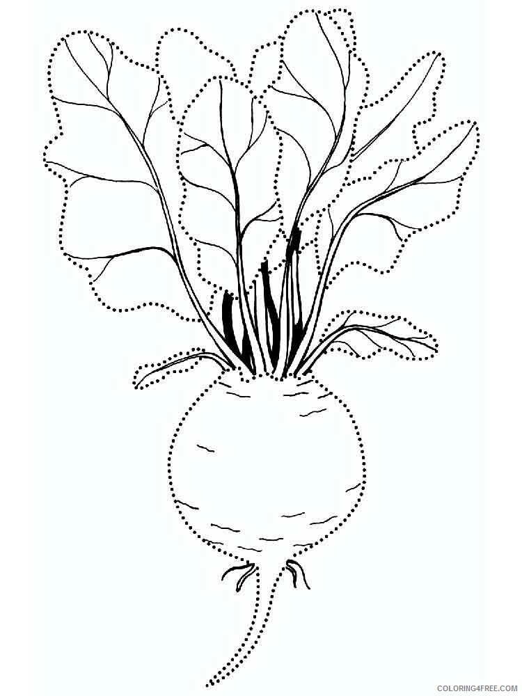 Beet Coloring Pages Vegetables Food Vegetables Beet 12 Printable 2021 471 Coloring4free