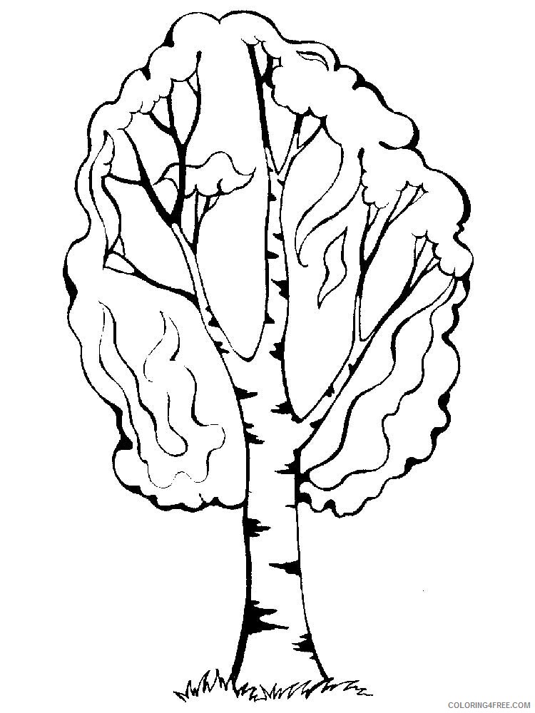 Birch Tree Coloring Pages Tree Nature birch tree 13 Printable 2021 536 Coloring4free