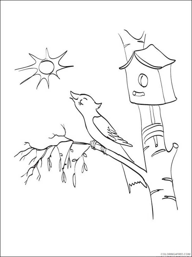 Birch Tree Coloring Pages Tree Nature birch tree 2 Printable 2021 537 Coloring4free