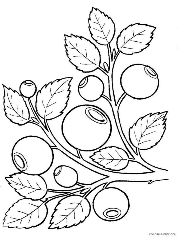 Blueberry Coloring Pages Fruits Food Blueberry berries 10 Printable 2021 142 Coloring4free