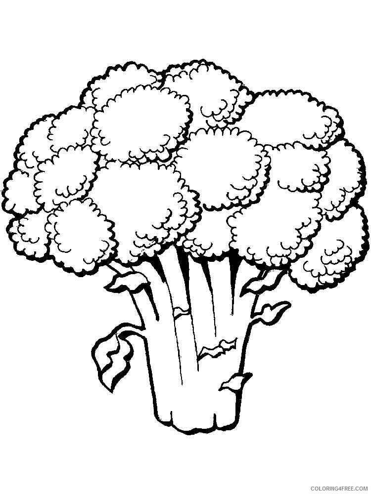 Broccoli Coloring Pages Vegetables Food Vegetables Broccoli 9 Printable 2021 500 Coloring4free
