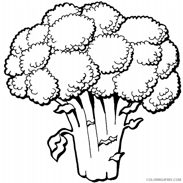 Broccoli Coloring Pages Vegetables Food broccoli Printable 2021 480 Coloring4free