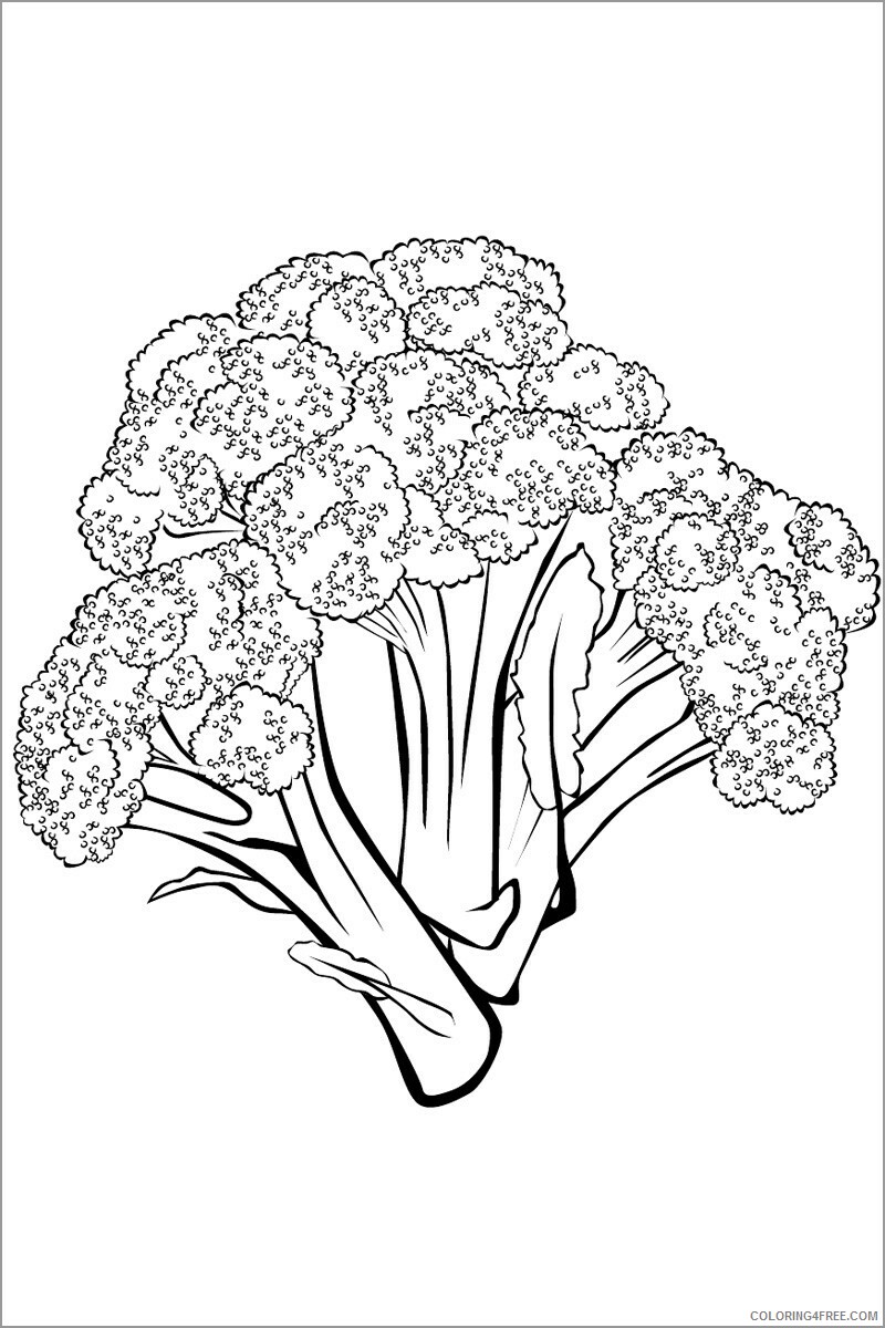 Broccoli Coloring Pages Vegetables Food broccoli to print Printable 2021 484 Coloring4free
