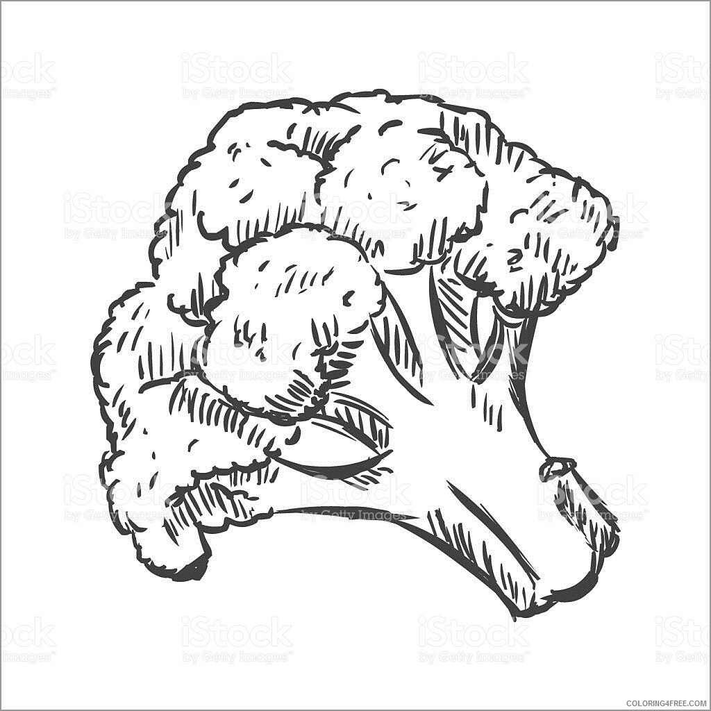 Broccoli Coloring Pages Vegetables Food of broccoli Printable 2021 487 Coloring4free