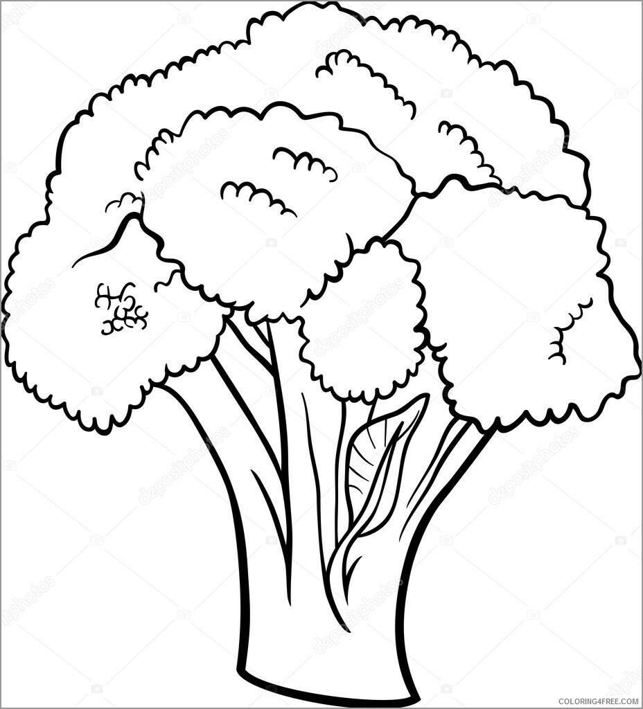 Broccoli Coloring Pages Vegetables Food realistic broccoli Printable 2021 491 Coloring4free