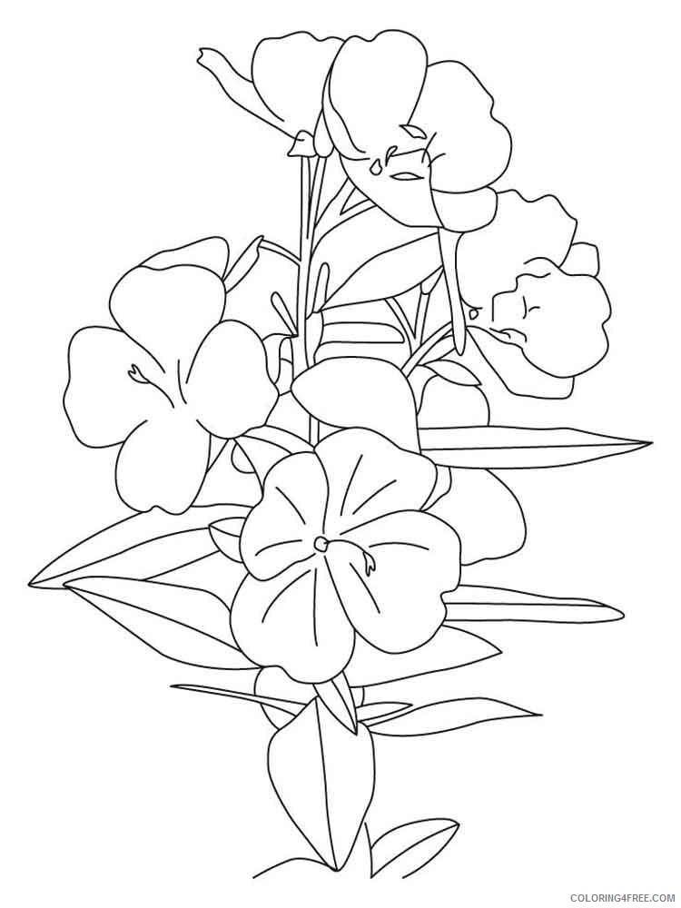 Buttercup Coloring Pages Flowers Nature Buttercup 5 Printable 2021 025 Coloring4free