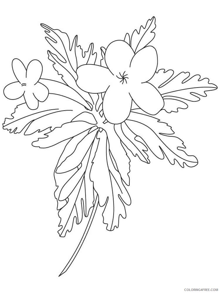 Buttercup Coloring Pages Flowers Nature Buttercup 6 Printable 2021 026 Coloring4free