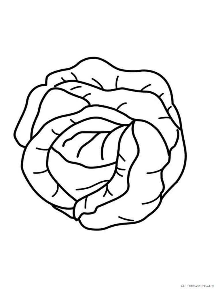 Cabbage Coloring Pages Vegetables Food Vegetables Cabbage 1 Printable 2021 503 Coloring4free