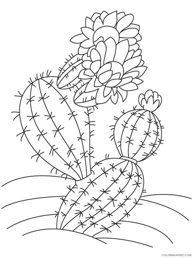 Cactus Coloring Pages Flowers Nature Cactus flower 12 Printable 2021 040 Coloring4free