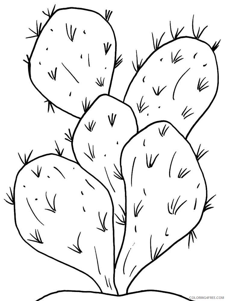 Cactus Coloring Pages Flowers Nature Cactus flower 6 Printable 2021 041 Coloring4free