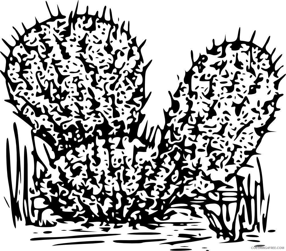 Cactus Coloring Pages Flowers Nature Free Cactus Printable 2021 049 Coloring4free