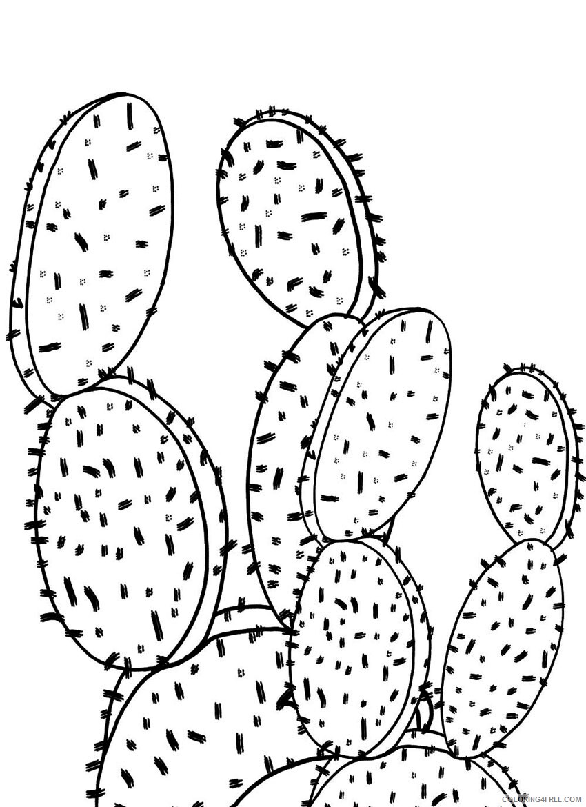 Cactus Coloring Pages Flowers Nature colorful cactus sheet for kids 2021 028 Coloring4free