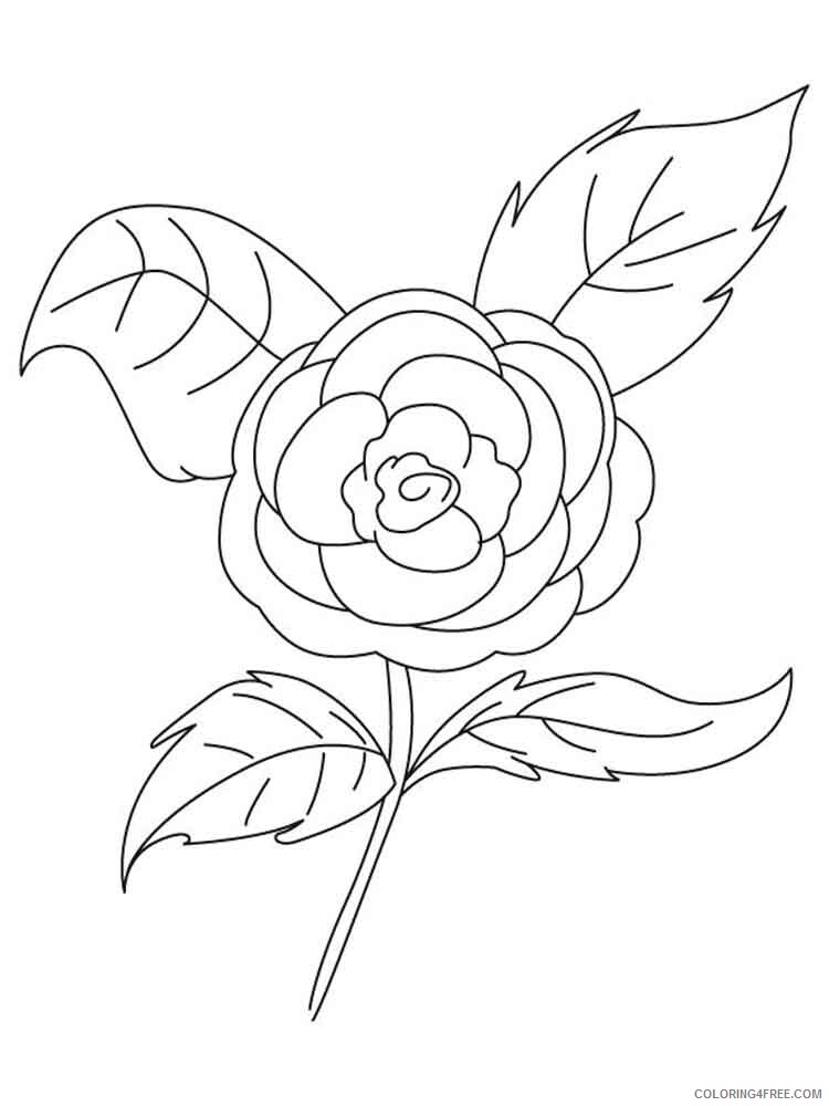 Camellia Coloring Pages Flowers Nature Camellia flower 6 Printable 2021 054 Coloring4free