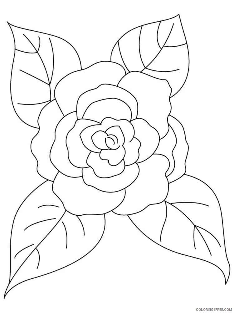 Camellia Coloring Pages Flowers Nature Camellia flower 7 Printable 2021 055 Coloring4free