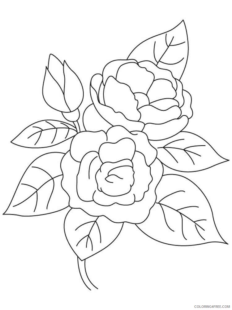 Camellia Coloring Pages Flowers Nature Camellia flower 8 Printable 2021 056 Coloring4free