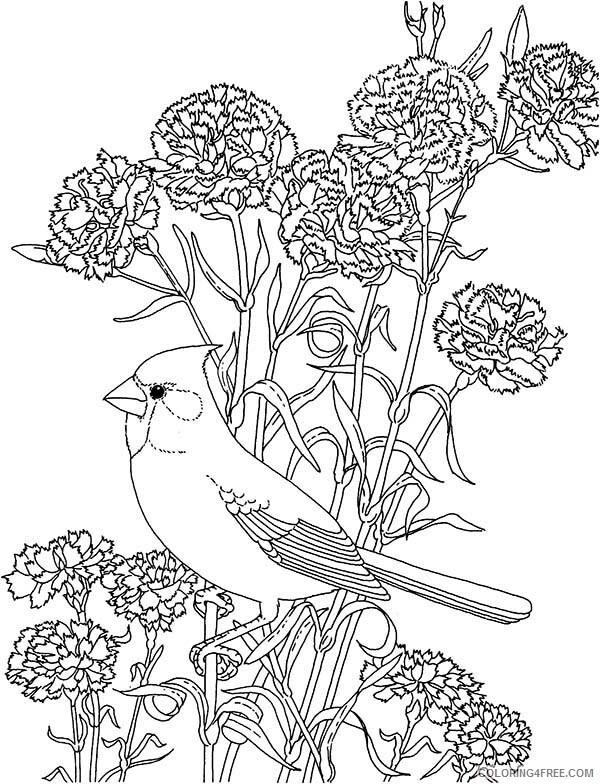 Carnation Coloring Pages Flowers Nature Carnation Flower and Cardinal Bird 2021 Coloring4free