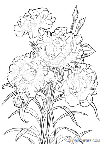 Carnation Coloring Pages Flowers Nature scarlet carnation Printable 2021 058 Coloring4free