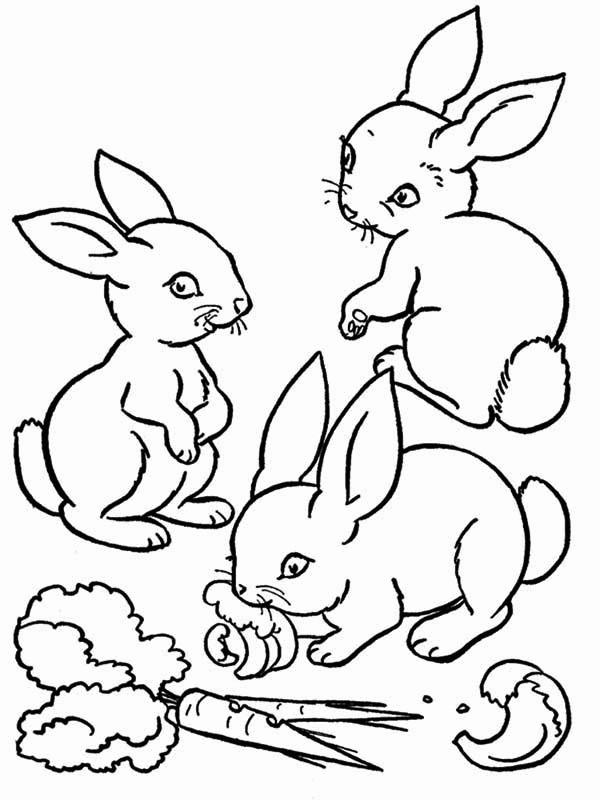 Carrot Coloring Pages Vegetables Food Rabbits Eating Carrots Printable 2021 542 Coloring4free
