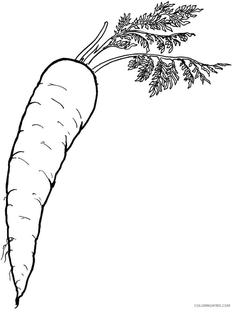 Carrot Coloring Pages Vegetables Food Vegetables Carrot 13 Printable 2021 548 Coloring4free