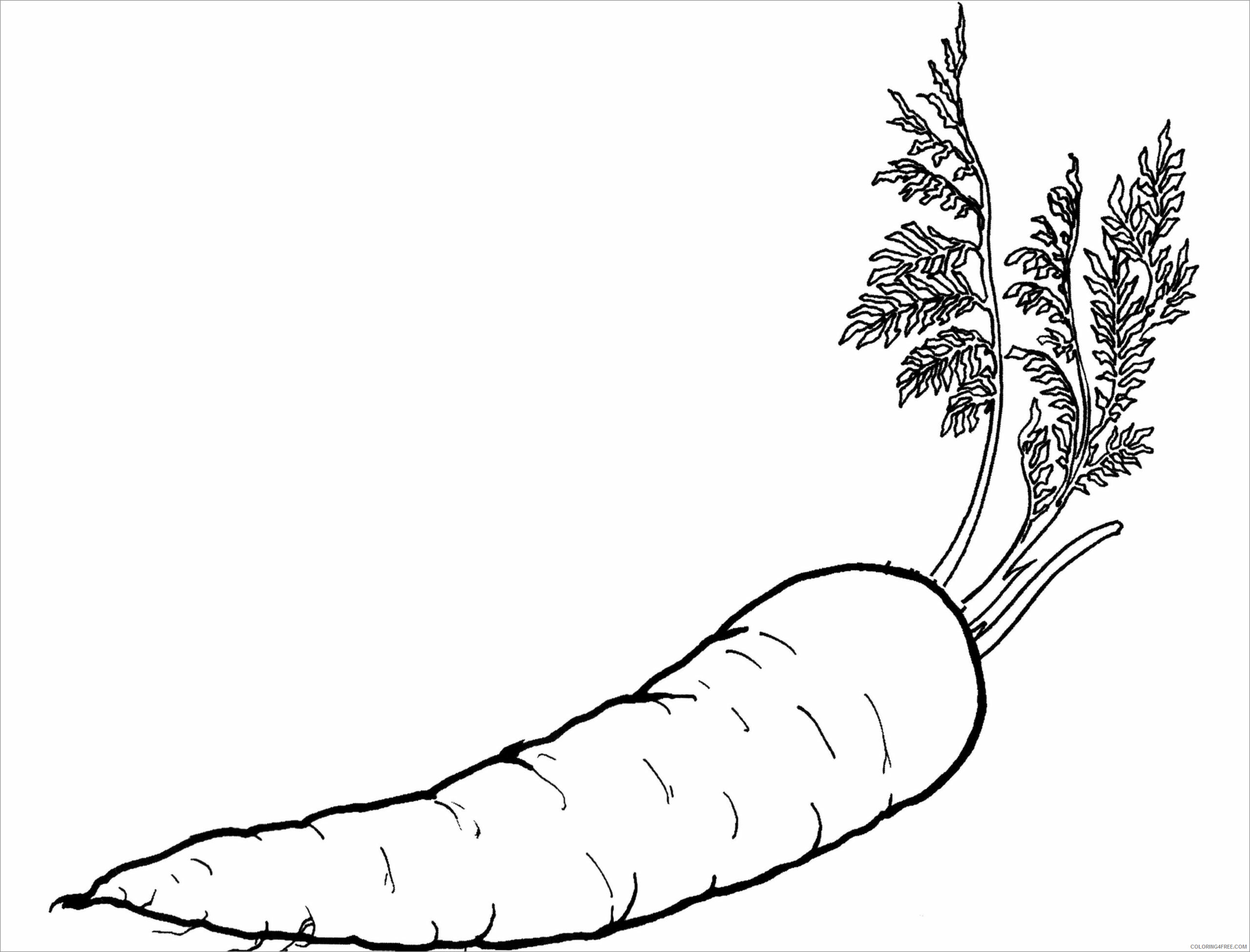 Carrot Coloring Pages Vegetables Food realistic carrots Printable 2021 543 Coloring4free