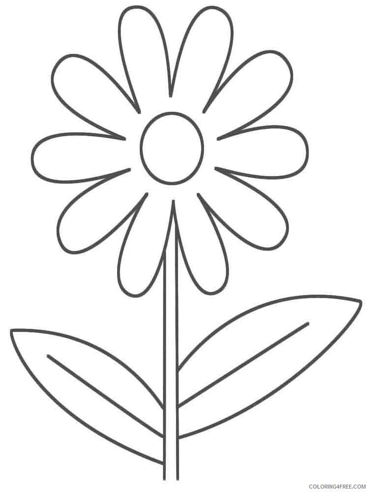 Chamomile Coloring Pages Flowers Nature chamomile flower 1 Printable 2021 073 Coloring4free