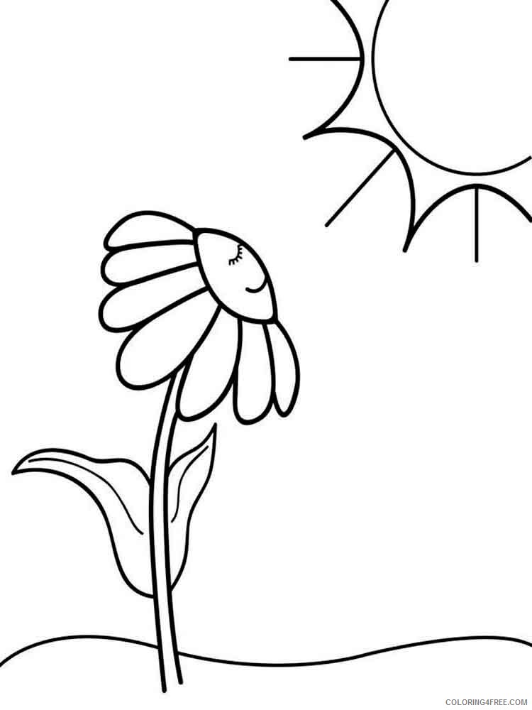 Chamomile Coloring Pages Flowers Nature chamomile flower 12 Printable 2021 075 Coloring4free