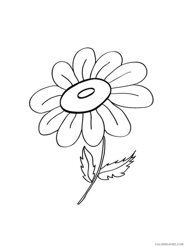 Chamomile Coloring Pages Flowers Nature chamomile flower 15 Printable 2021 076 Coloring4free
