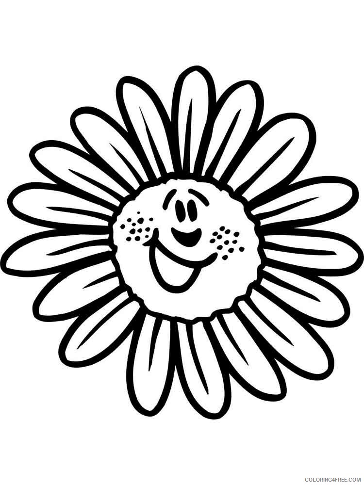 Chamomile Coloring Pages Flowers Nature chamomile flower 6 Printable 2021 081 Coloring4free